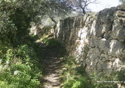 Romeinse wegen Estoi circulaire wandeling