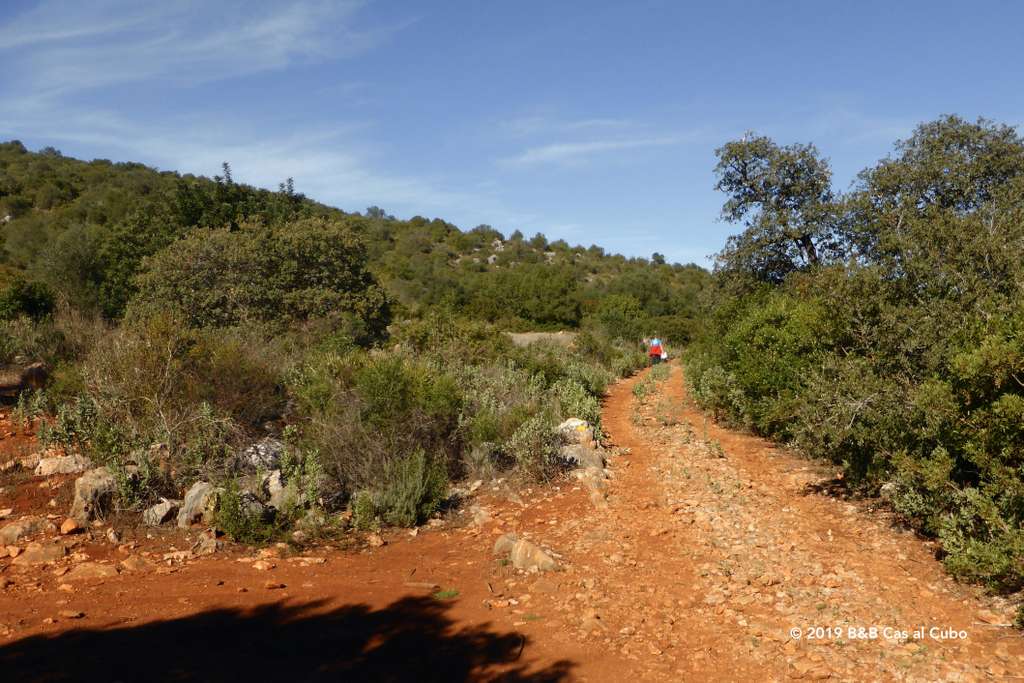Cerro de Cabeca