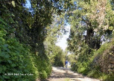 Wandelaar op oude Romeinse weg bij Cerro de Cabeça