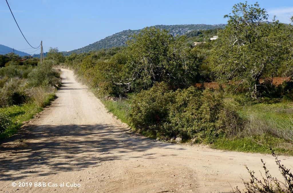 Caminhos Romanos Moncarapacho