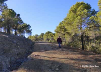 Wandelaars tussen de pinheiros van Mata Nacional das Terras da Ordem