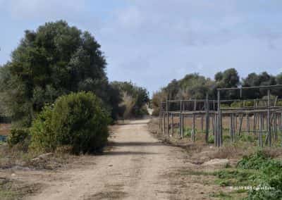 Horta´s of moestuinen langs wandelroute Olhão PR6