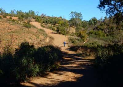 Typische begroeiing Serra do Caldeirão langs wandelpad