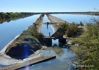 Dijkjes in de Ria Formosa, verdamping, zoutwinning
