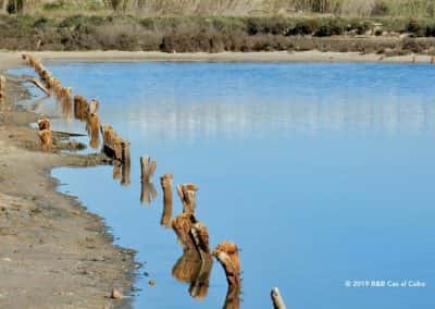 Zoutpannen zee, wadden, natuurgebied