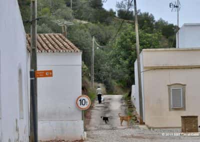 Pad de heuvels in achter Santa Catarina da Fonte do Bispo