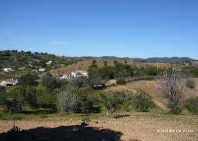 Heuvellandschap Algarve met bloeiende amandelboom en verspreid liggende huizen
