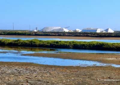Zoutbergen in het waddengebied van de Ria Formosa