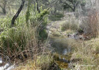 Wandelroute langs de Rio Arade in het noorden van de Algarve, gemeente Loule