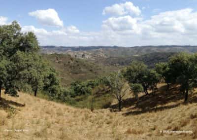 De heuvels van de Algarve op wandeling Azinhal dos Mouros nabij Ameixial LLE PR19