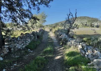 Barrocal is een eigen wandeling van WandelenAlgarve