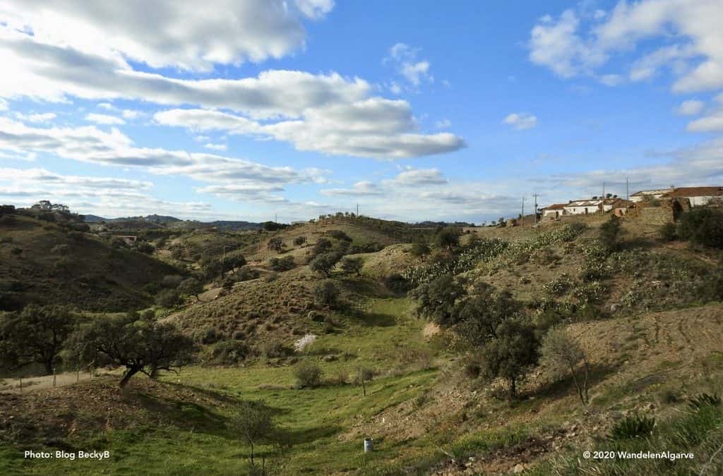 Cabra Algarvia