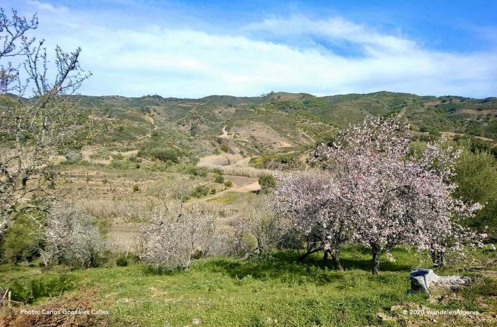 Caminho Amendoeira