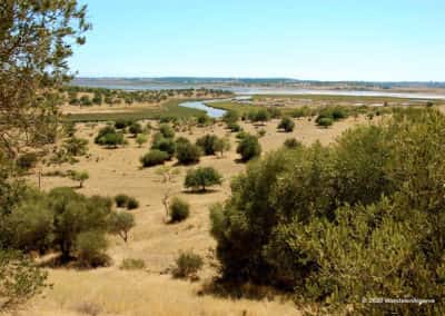 Wandelroute CTM PR09 Percurso do Sapal da Venta - uitzicht over de slenken