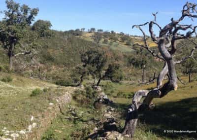 Schilderachtig landschap in de heuvels rondom Corte de Ouro op wandelroute LLE PR2