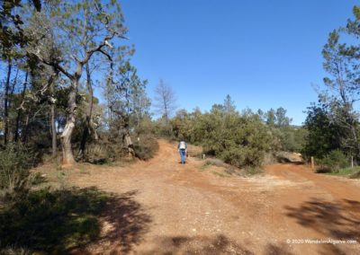 Heuvellandschap rondom Tôr op wandeling Loulé PR14