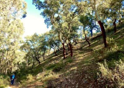 São Brás de Alportel wandelroutes