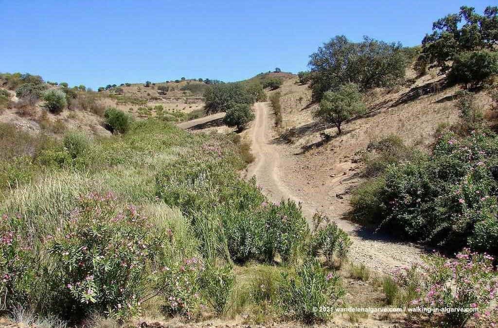 Cerro Acima Cerro Abaixo