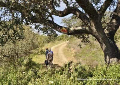 Alcoutim wandelroute - ALC PR1