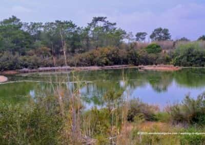 Ria Formosa Olhao