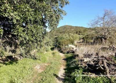 Wandelroutes Olhão OLH PR2