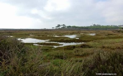 Quinta do Lago