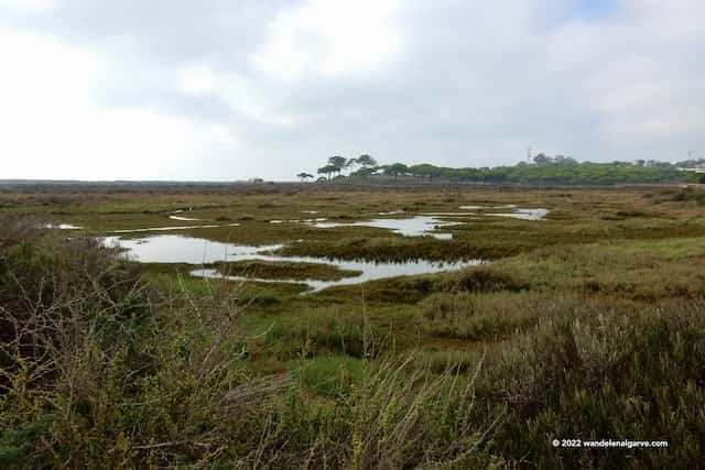 Quinta do Lago