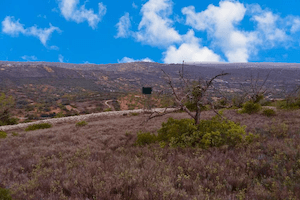Percurso Pedestre Cerro Grande (ABF PR03)